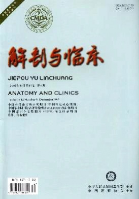 中华解剖与临床杂志杂志